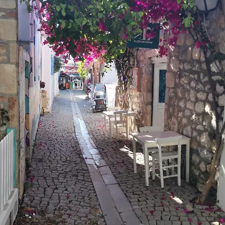 Black Box Village With Garden Villa