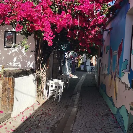 Black Box Village With Garden Villa *