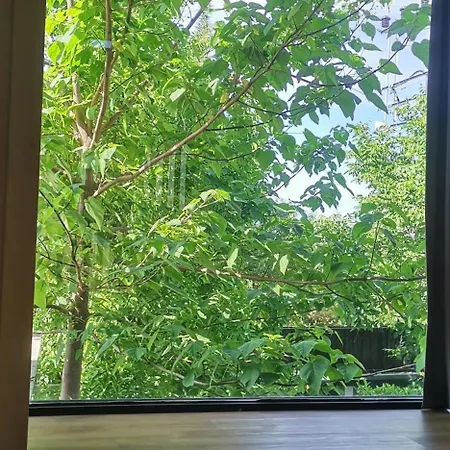 别墅 Black Box Village With Garden 塞费里希萨尔