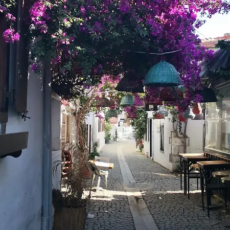 Black Box Village With Garden Villa *