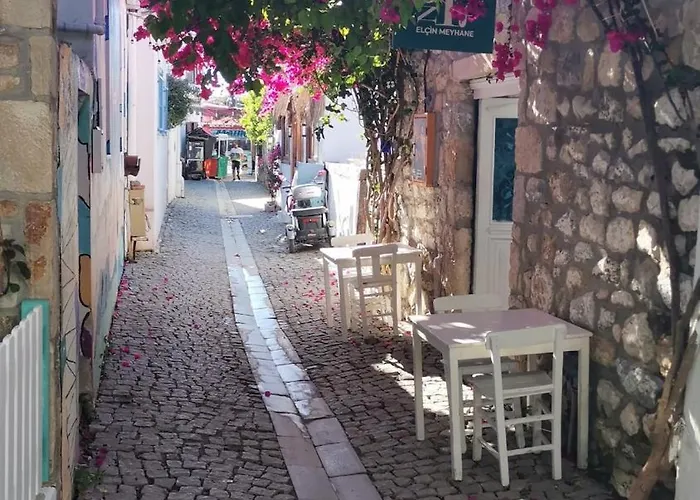 Black Box Village With Garden Vila