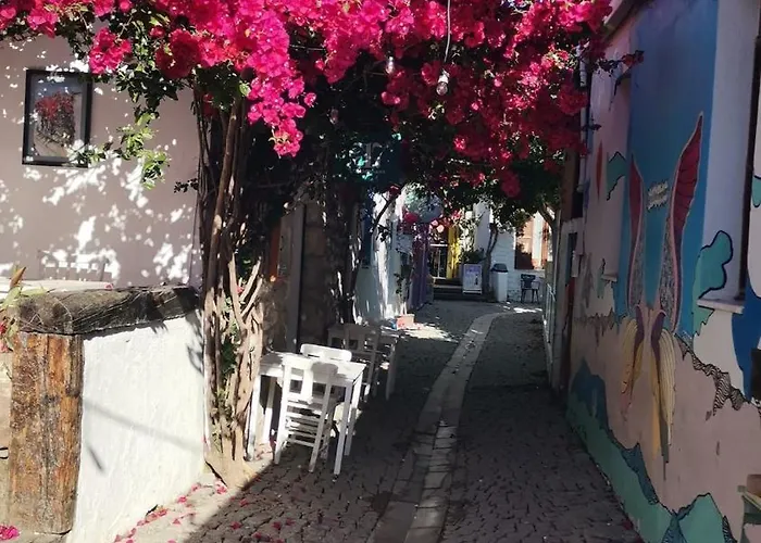 Black Box Village With Garden Vila *