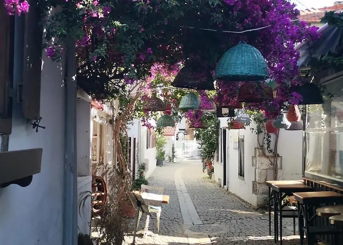 Black Box Village With Garden Vila *